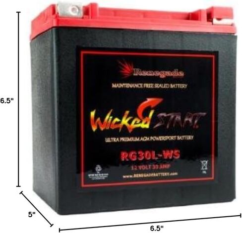 Renegade Battery RG30L-WS 12 Volt, 30 Amp Wicked Start 600 CCA Ultra Premium Powersport Battery … in Saudi Arabia