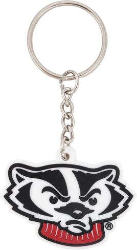 Desert Cactus University of Wisconsin Badgers Keychain Car Keys Holder (PVC B) in Saudi Arabia