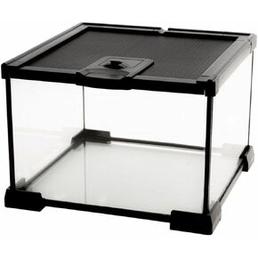 Mini Reptile Glass Terrarium Tank, cage for Tarantula Sling Geckos, Frog, Lizards, Chameleons,Turtles Snake Snail Insect Hermit Crab Isopods Reptiles Enclosure (12x8x6inch)