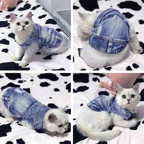 Dog Jean Jacket, Cool and Soft Shirt, Pet Blue Denim Coat, Classic Lapel Vests, Fashion Clothes for Small Medium Dogs Cats L in Saudi Arabia