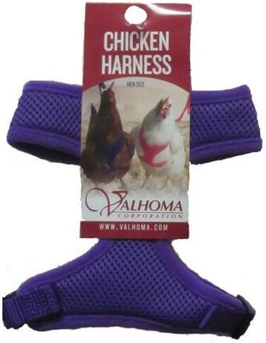 سرج الدجاج "حجم الدجاجة" - بالإضافة إلى مقود الدجاج المطابق بطول 6 أقدام (أرجواني) in Kuwait