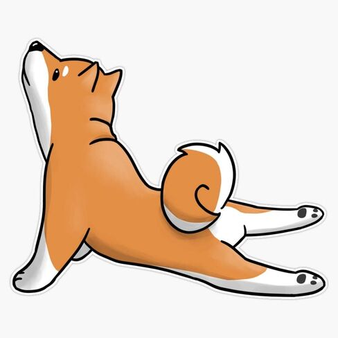 MAGNET Shiba Inu Yoga Pose الفينيل ملصق مغناطيسي مقاوم للماء الفينيل ملصق مغناطيسي مقاوم للماء سيارة 5" in Saudi Arabia