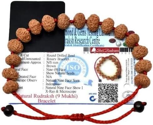 سوار ShriRudram 9 Mukhi Rudraksha / سوار المعصم ذو تسعة وجوه Rudraksh معتمد من مختبر جافا D2، متوسط، بني للجنسين، سوار اليوجا العلاجي من الأيورفيدا بالطاقة in Saudi Arabia