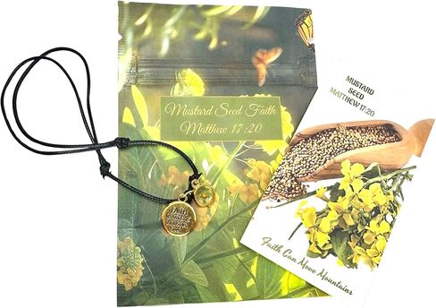 Westmon Works Mustard Seed Faith Bracelet Set Adjustable Cord Metal Charms & Scripture Card Matthew 17:20 Christian Gift Pack in Saudi Arabia