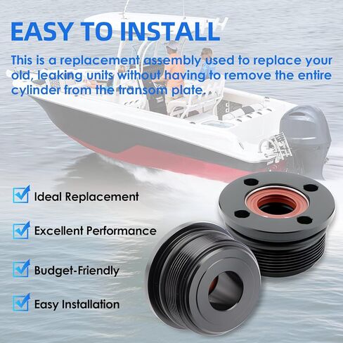 Trim Cap Cylinder Replacement Kit with Seals for Yamaha 200 225 250 300 HP Outboard Motors - Replaces 61A-43821-00-00 FSM040 (2pcs) in Kuwait