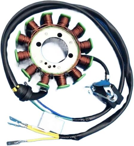 12 ملفًا و5 أسلاك إشعال الجزء الثابت Magneto 31101-100-0000 متوافق مع Haili SP307-J XY250ST-9 STIXE in Kuwait