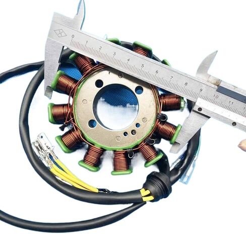 12 ملفًا و5 أسلاك إشعال الجزء الثابت Magneto 31101-100-0000 متوافق مع Haili SP307-J XY250ST-9 STIXE in Kuwait