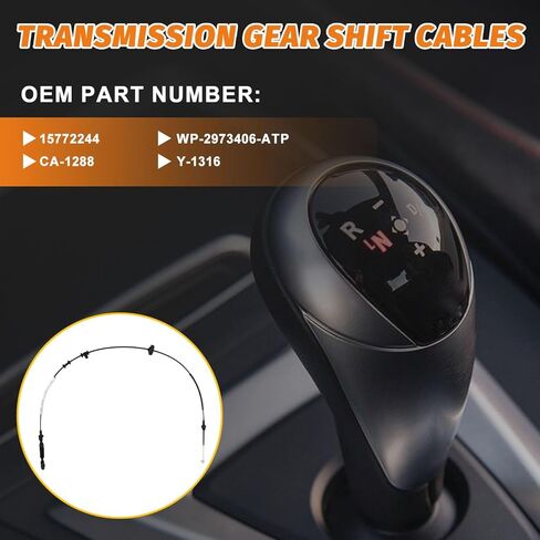 15772244 Automatic Transmission Shift Cable Compatible with GMC Savana 1500 2500 1996-2002,For Chevy Express 1500 2500 1996-2002,Gearshift Cable Replace CA-1288 Y-1316 in Kuwait