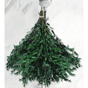 سيقان الأوكالبتوس الحقيقية - 15-25 قطعة، 17 بوصة 8 أونصة من نبات الأوكالبتوس الطازج المحفوظ بأوراق خضراء حية، حزمة خضراء للفروع الجافة لحفلات الزفاف، ديكور المنزل (كبير) in Kuwait