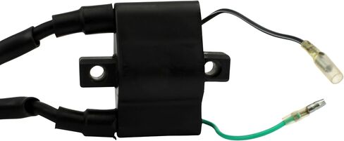 RMSTATOR External Ignition Coil Replacement For Arctic Cat Bearcat Cougar El Tigre Wildcat Z ZL ZR 340-700 1987-2002 OEM Repl.# 3003-977 3005-185 3003-284 3003-475 3003-389 3003-411 3003-573 3003-574 in Saudi Arabia
