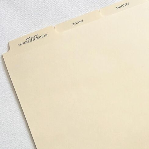Corporate Records 3-Ring Binder – Leather Like Feel with Gold Debossed Title. Pre-Printed Index Tab Dividers Included. in Saudi Arabia