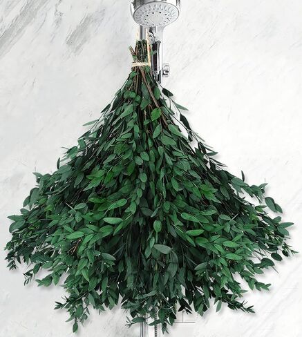 سيقان الأوكالبتوس الحقيقية - 15-25 قطعة، 17 بوصة 8 أونصة من نبات الأوكالبتوس الطازج المحفوظ بأوراق خضراء حية، حزمة خضراء للفروع الجافة لحفلات الزفاف، ديكور المنزل (كبير) in Kuwait