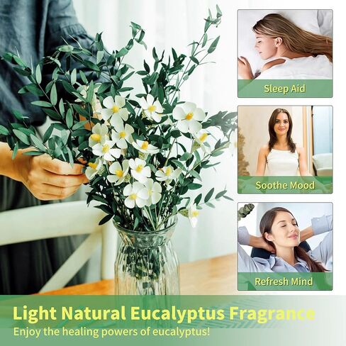 سيقان الأوكالبتوس الحقيقية - 15-25 قطعة، 17 بوصة 8 أونصة من نبات الأوكالبتوس الطازج المحفوظ بأوراق خضراء حية، حزمة خضراء للفروع الجافة لحفلات الزفاف، ديكور المنزل (كبير) in Kuwait