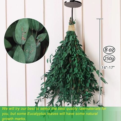 سيقان الأوكالبتوس الحقيقية - 15-25 قطعة، 17 بوصة 8 أونصة من نبات الأوكالبتوس الطازج المحفوظ بأوراق خضراء حية، حزمة خضراء للفروع الجافة لحفلات الزفاف، ديكور المنزل (كبير) in Kuwait