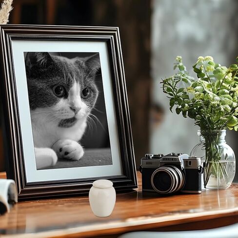 GORGECRAFT Human Ash Urn Small Cremation Urns Memorial Pet Animal Human Ashes Holder Mini Ceramic Burial Funeral Keepsake Urns Container Jar for Male Female Cat Rabbit White 2.11 x 1.65 inch in Saudi Arabia