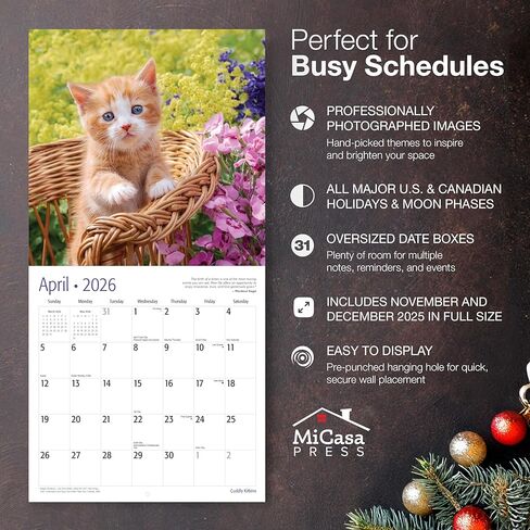 MICASA PRESS Cuddly Kittens 2026 تقويم الحائط لمدة 12 شهرًا | 12 بوصة × 24 بوصة مفتوح | ورق سميك وقوي | هدية العيد | لطيف هريرة القط التقويم 2026 in Kuwait