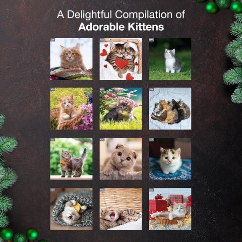 MICASA PRESS Cuddly Kittens 2026 تقويم الحائط لمدة 12 شهرًا | 12 بوصة × 24 بوصة مفتوح | ورق سميك وقوي | هدية العيد | لطيف هريرة القط التقويم 2026 in Kuwait