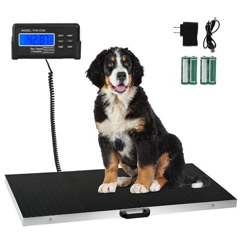 مقياس الكلاب من هاوسابلز للكلاب الكبيرة، موازين الحيوانات الأليفة البيطرية، آلة وزن الحيوانات الرقمية، 41 بوصة × 21 بوصة، 440 رطل، من الفولاذ المقاوم للصدأ، منصة واسعة جدًا، وزن الماشية والأغنام والماعز والأرانب والحملان وحزم الشحن in Kuwait