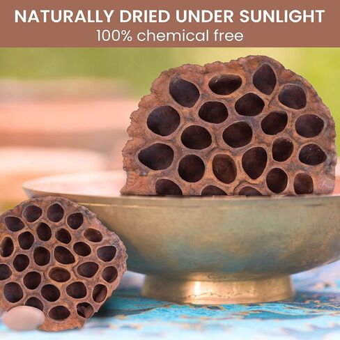 مجموعة قرون اللوتس المجففة مكونة من 25 كبسولة لتنسيق الزهور وديكور المنزل، ورؤوس بذور طبيعية لحشو المزهرية، وقطع مركزية من الزهور المجففة in Kuwait