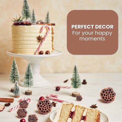 مجموعة قرون اللوتس المجففة مكونة من 25 كبسولة لتنسيق الزهور وديكور المنزل، ورؤوس بذور طبيعية لحشو المزهرية، وقطع مركزية من الزهور المجففة in Kuwait