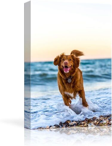 NWT Custom Canvas Prints with Your Photos for Pet/Animal, Personalized Canvas Pictures for Wall to Print Framed 24x16 inches in Saudi Arabia