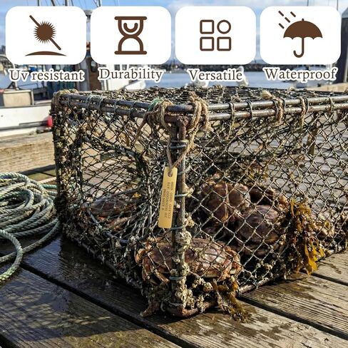 50 Pcs Brass Tags for Trapping Copper Tags Crab Trap Identification Tag Trapping Supplies for Hunting Wildlife Tracking Outdoor Equipment in Kuwait