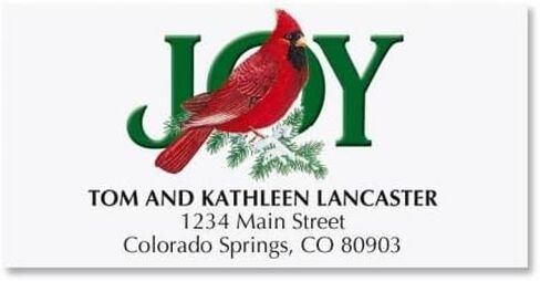 Cardinal Joy Christmas Address Labels- 48 Self-Adhesive,Flat-Sheet Return Labels in Saudi Arabia