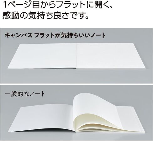 Kokuyo N-FL3CBTX3 Campus Notebook, Dot B Ruled, B5, 3 Colors Pack in Saudi Arabia