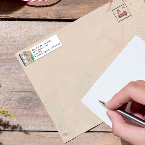 ملصقات عنوان الإرجاع الكلاسيكية المخصصة من Sunny Cactus Succulent - مجموعة مكونة من 240 قطعة (4 تصميمات)، ذاتية اللصق، ملصقات اختيار مسطحة كبيرة in Kuwait