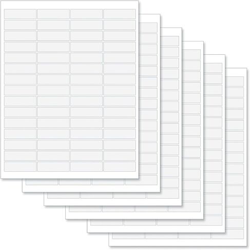 ملصقات عنوان الإرجاع الكلاسيكية المخصصة من Sunny Cactus Succulent - مجموعة مكونة من 240 قطعة (4 تصميمات)، ذاتية اللصق، ملصقات اختيار مسطحة كبيرة in Kuwait