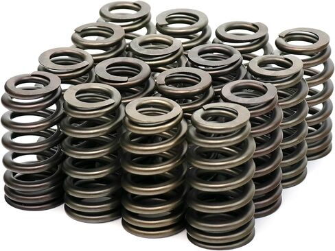 BTR Brian Tooley Racing .625" Beehive Drop-In Valve Spring Kit | SP021-16 | Fits 2009+ 5.7L HEMI Engines | Drop-In Valvetrain Upgrade in Saudi Arabia