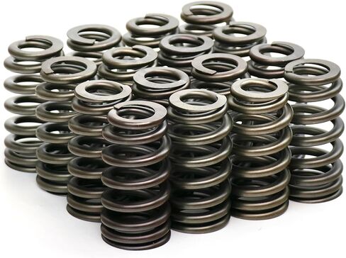 BTR Brian Tooley Racing .625" Beehive Drop-In Valve Spring Kit | SP021-16 | Fits 2009+ 5.7L HEMI Engines | Drop-In Valvetrain Upgrade in Saudi Arabia