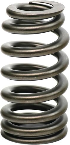 BTR Brian Tooley Racing .625" Beehive Drop-In Valve Spring Kit | SP021-16 | Fits 2009+ 5.7L HEMI Engines | Drop-In Valvetrain Upgrade in Saudi Arabia