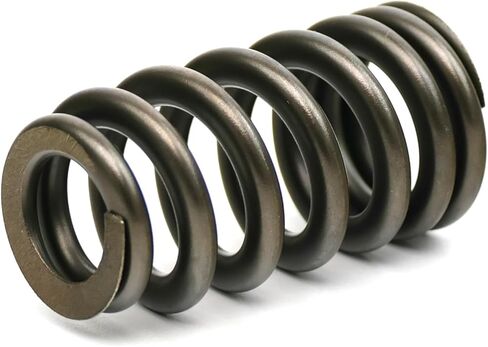 BTR Brian Tooley Racing .625" Beehive Drop-In Valve Spring Kit | SP021-16 | Fits 2009+ 5.7L HEMI Engines | Drop-In Valvetrain Upgrade in Saudi Arabia