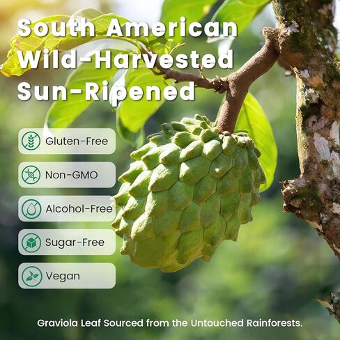 HIIHONE (عبوتان) 12 في 1 قطرات سائلة سورسوب مريرة مع طحالب البحر، وزيت الحبة السوداء، والمورينجا لدعم الخلايا وتجديدها، والمناعة، والكبد، والأمعاء ومضادات الأكسدة - 2 أونصة سائلة in Kuwait