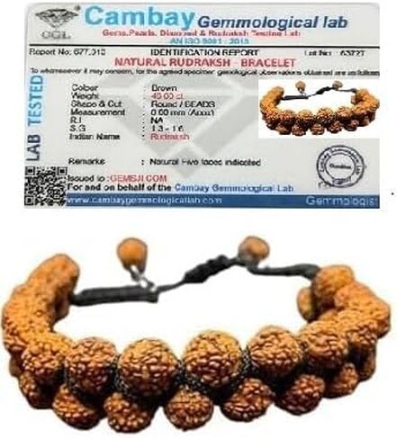 Nepali Adjustable Rudraksha 8MM Double Layered Beaded Bracelets Spiritual Protection Bracelet Anxiety Stress Relief Bracelet Healing Crystals, Medium, Brown in Saudi Arabia
