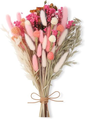 DIY Natural Dried Flower Set 10 Kinds of Dried Flowers with Long Stems Bulk Boho Flowers for Home Decor Floral Arrangement in Saudi Arabia