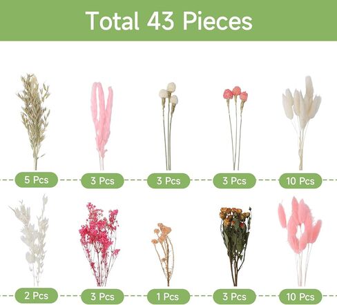 DIY Natural Dried Flower Set 10 Kinds of Dried Flowers with Long Stems Bulk Boho Flowers for Home Decor Floral Arrangement in Saudi Arabia
