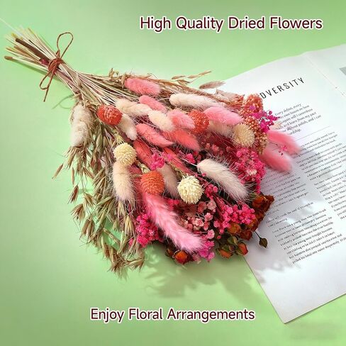 DIY Natural Dried Flower Set 10 Kinds of Dried Flowers with Long Stems Bulk Boho Flowers for Home Decor Floral Arrangement in Saudi Arabia