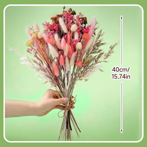 DIY Natural Dried Flower Set 10 Kinds of Dried Flowers with Long Stems Bulk Boho Flowers for Home Decor Floral Arrangement in Saudi Arabia