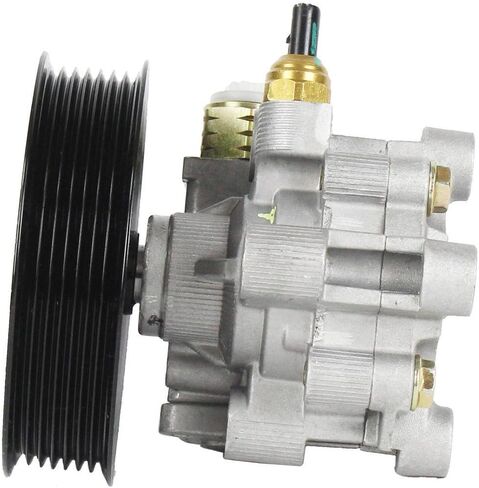 DNJ PSP1296 New Power Steering Pump for 2001-2007 Toyota Highlander 2.4L L4 16V DOHC 2362cc in Saudi Arabia