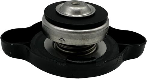 عبوة واحدة متوافقة مع غطاء المبرد Yamaha 4FL-12462-00-00 تحتوي على 4FL-12462-00-00 وقمع in Saudi Arabia