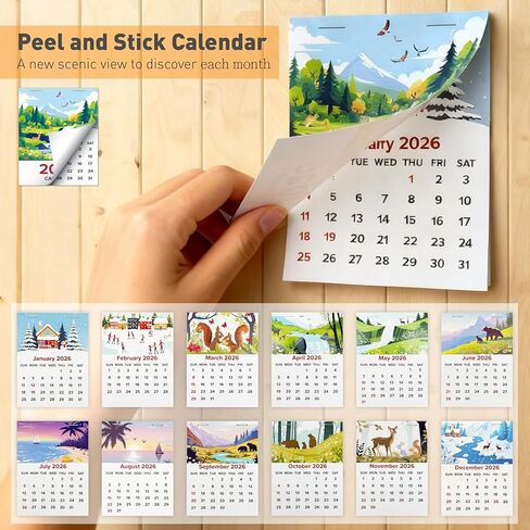 تقويم صغير لعام 2026 مكون من 12 حزمة - تقاويم لاصقة شهرية صغيرة قابلة للتقشير واللصق للوحة قيادة السيارة والجدار والثلاجة والكمبيوتر المحمول والمكتب | 3.35 بوصة × 4.45 بوصة | يناير-ديسمبر 2026 (12 قطعة) in Kuwait