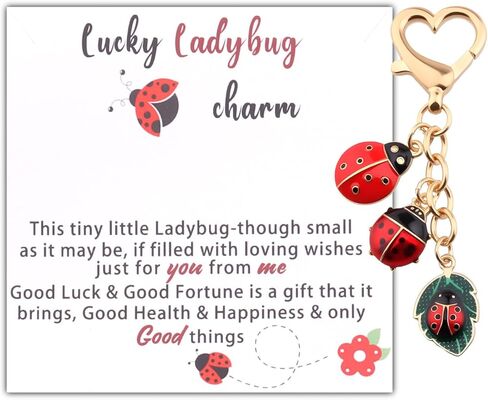 سلسلة مفاتيح BLEOUK Ladybug سحر الحظ السعيد هدية ملهمة للصداقة الخنفساء لمحبي المجوهرات in Saudi Arabia