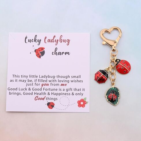 سلسلة مفاتيح BLEOUK Ladybug سحر الحظ السعيد هدية ملهمة للصداقة الخنفساء لمحبي المجوهرات in Saudi Arabia