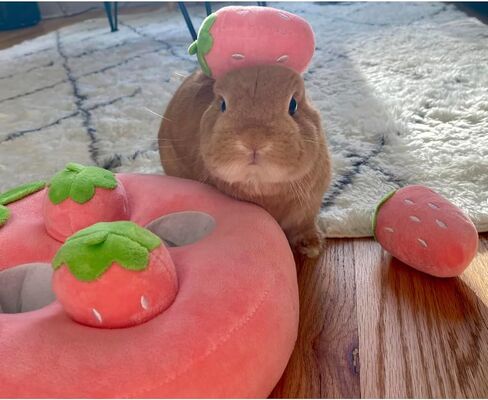 Nopikku Cute Plush Strawberry Snuffle Mat Treat Dispenser Feeding Entertainment Interactive Toy for Bunny Guinea Pig Chinchilla Puppy in Saudi Arabia