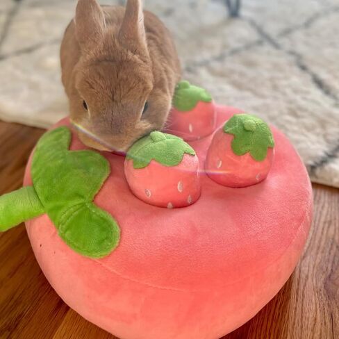 Nopikku Cute Plush Strawberry Snuffle Mat Treat Dispenser Feeding Entertainment Interactive Toy for Bunny Guinea Pig Chinchilla Puppy in Saudi Arabia