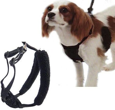 Medium Black Anti Pull Mesh Dog Harness Neck Sizes 10"-16" in Saudi Arabia
