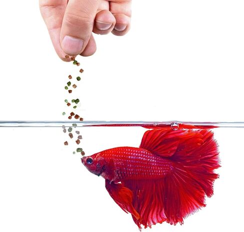 SunGrow Betta Food, Color Enhancer Floating Feed, Balanced Diet for Healthy Fish, Easily Digestible Food, Slow-Dissolving Pellets, 1-oz. in Saudi Arabia