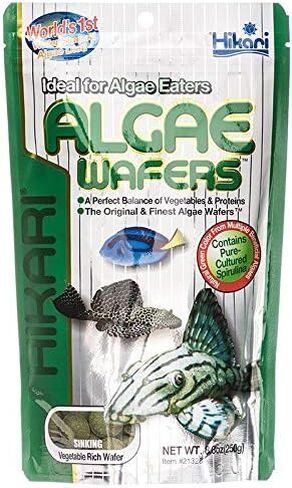 Hikari Tropical Algae Wafers Fish Food [Set of 2] Size: 8.80 Ounces in Saudi Arabia